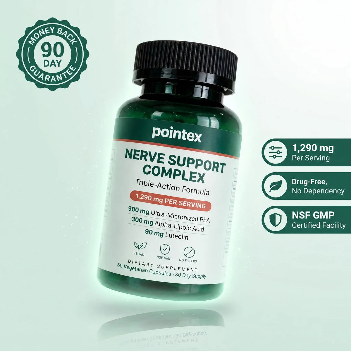 Pointex™ Nerve Support Complex | Ultra-Micronized PEA 900mg + ALA & Luteolin (60 Capsules)
