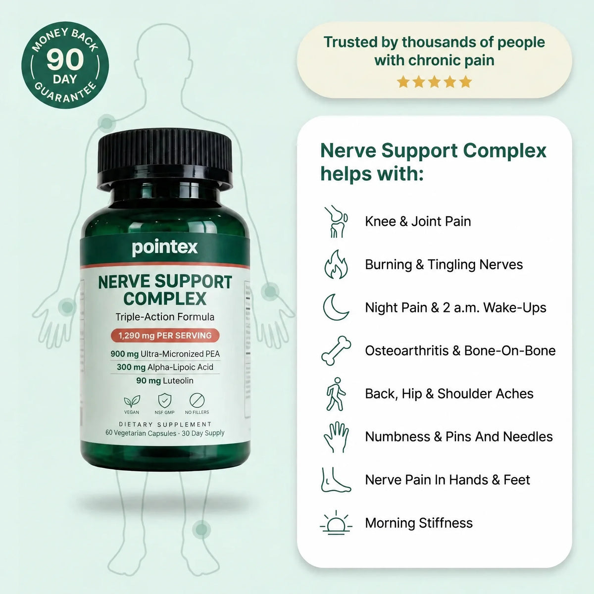 Pointex™ Nerve Support Complex | Ultra-Micronized PEA 900mg + ALA & Luteolin (60 Capsules)