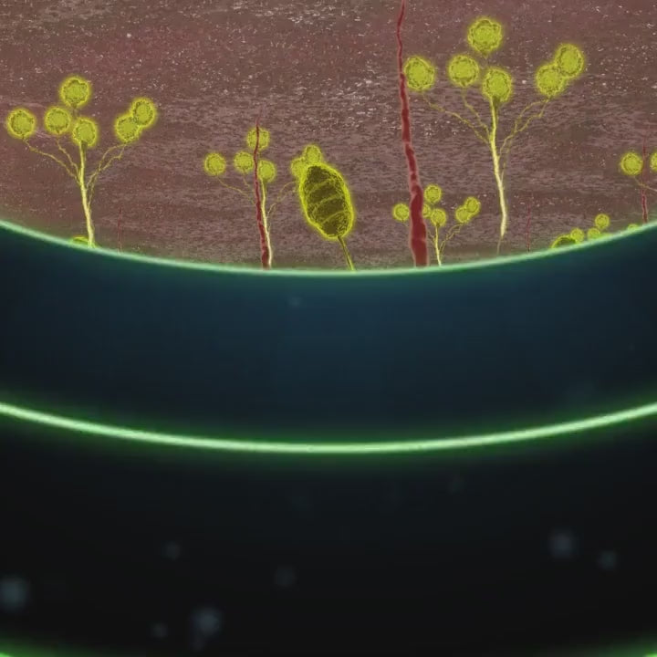\"\"